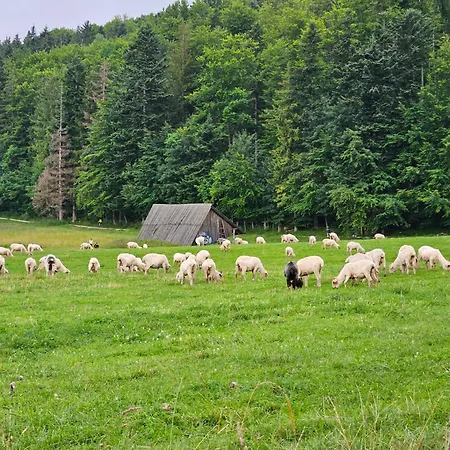 Διαμέρισμα Strazyska Z Widokiem Na Giewont Taras 25m Parking Ζακοπάνε