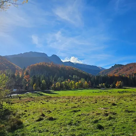 Strazyska Z Widokiem Na Giewont Taras 25m Parking * Ζακοπάνε