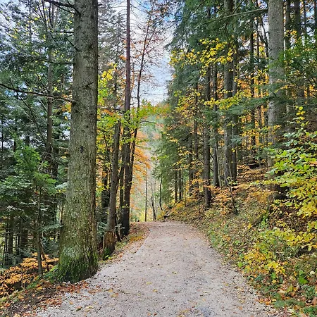 Strazyska Z Widokiem Na Giewont Taras 25m Parking *