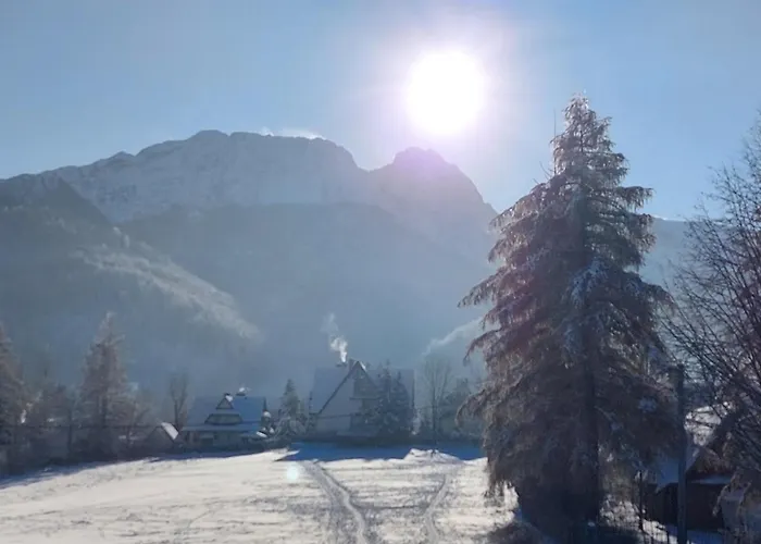 Rs6 アパート ザコパネ