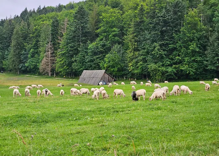 アパート Rs6 ザコパネ